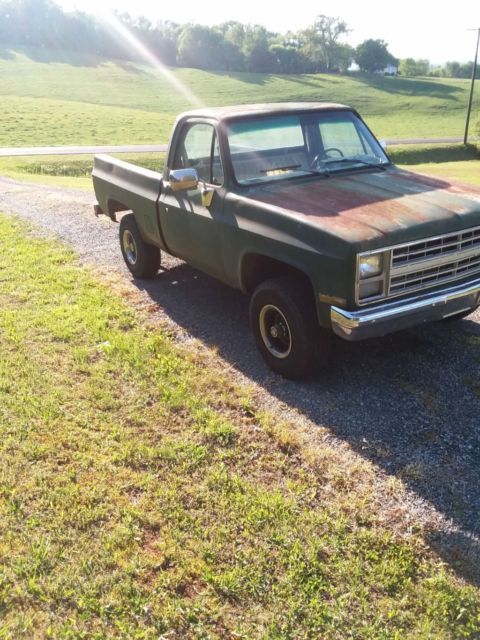1987 Green Chevrolet C/K Pickup 1500 Standard Cab Pickup