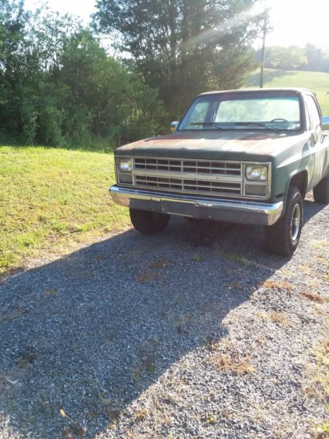 1987 Green Chevrolet C/K Pickup 1500 Standard Cab Pickup