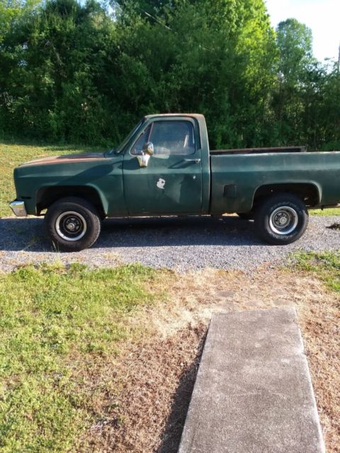 1987 Green Chevrolet C/K Pickup 1500 Standard Cab Pickup