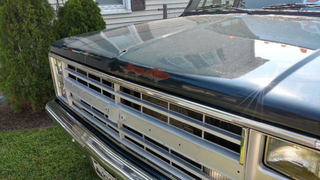 1987 Blue Chevrolet C/K Pickup 1500 Standard Cab Pickup
