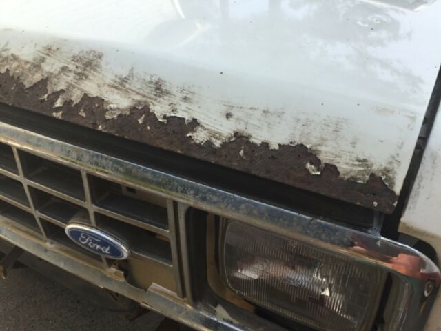 1987 White Ford Bronco II SUV