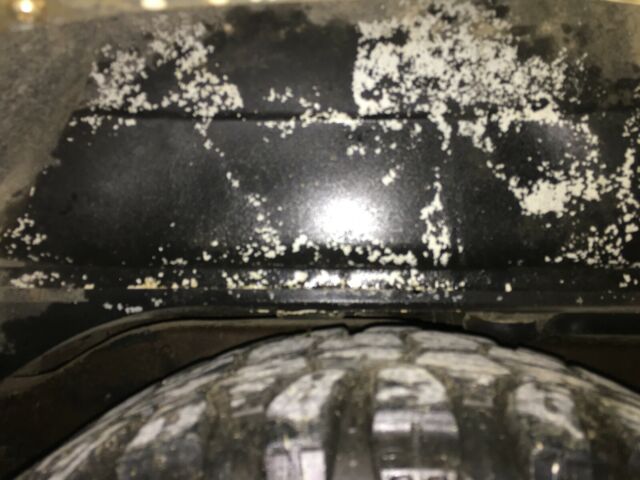 1987 White Ford Bronco SUV