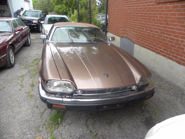 1987 Brown Jaguar XJ12 TARGA