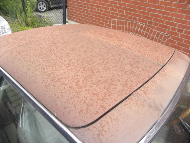 1987 Brown Jaguar XJ12 TARGA