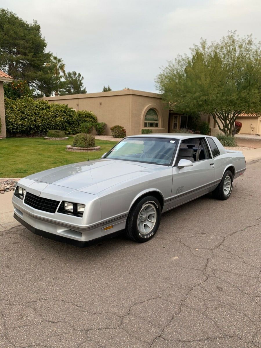 1987 Silver Chevrolet Monte Carlo Coupe