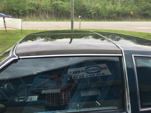 1987 Blue Oldsmobile 442 Coupe