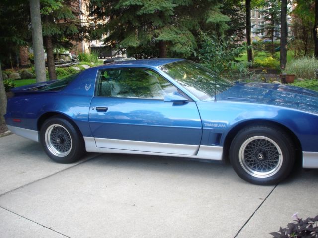 1987 Bright Blue Metallic-Silver lower trim Pontiac Trans Am Coupe