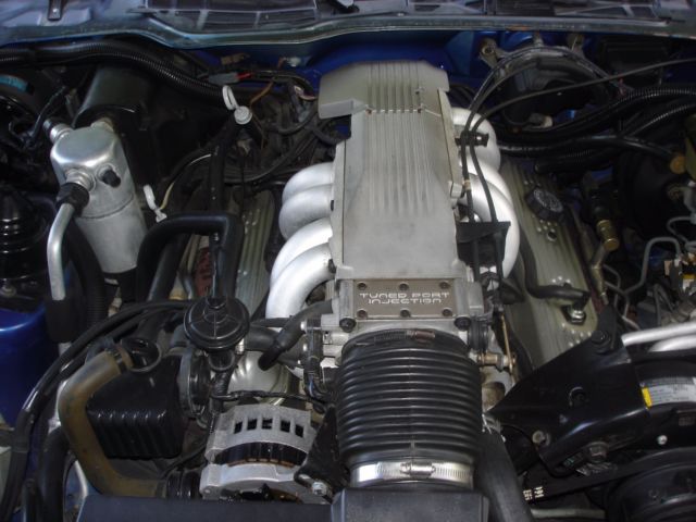 1987 Bright Blue Metallic-Silver lower trim Pontiac Trans Am Coupe