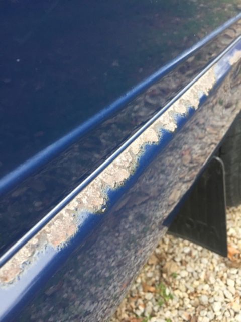 1987 Blue Toyota Pickup Standard Cab Pickup