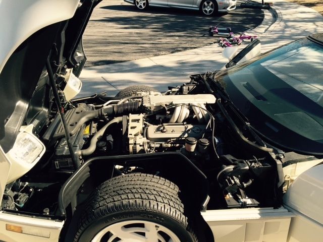 1988 White Chevrolet Corvette Hatchback
