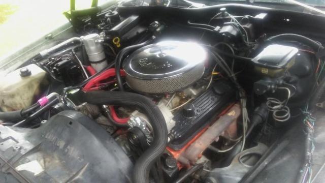 1988 White Chevrolet Capriceold Sedan