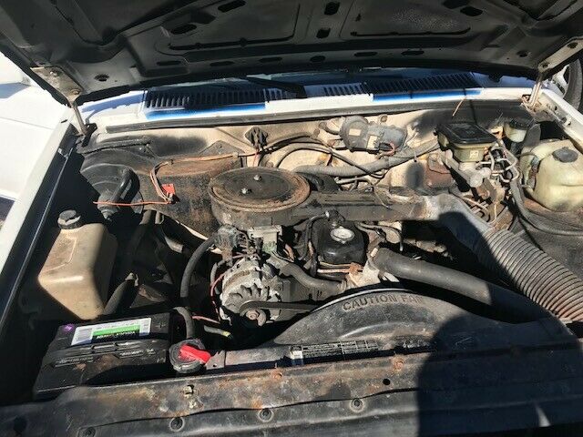 1988 White Chevrolet S-10 Standard Cab Pickup