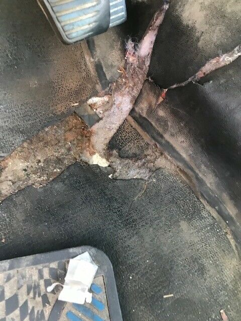 1988 White Chevrolet S-10 Standard Cab Pickup