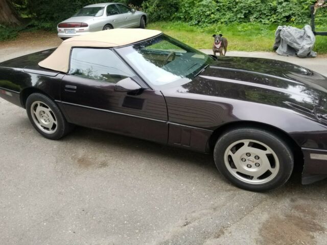1988 Burgundy Chevrolet Corvette Convertible