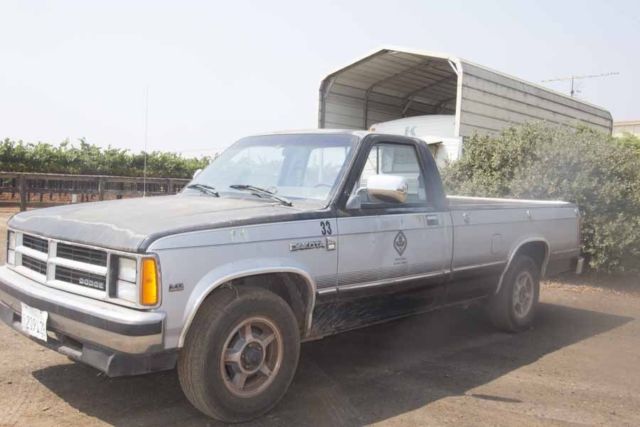 1988 blue/white Dodge Dakota