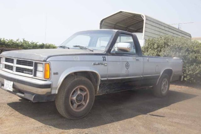 1988 blue/white Dodge Dakota