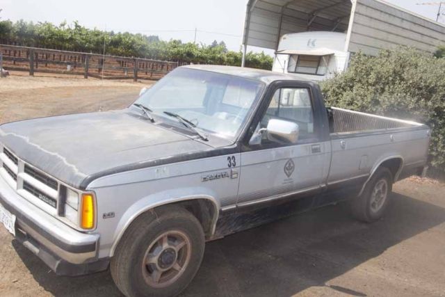 1988 blue/white Dodge Dakota