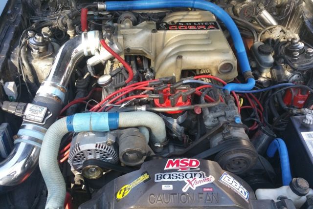 19880000 Black Ford Mustang Hatchback