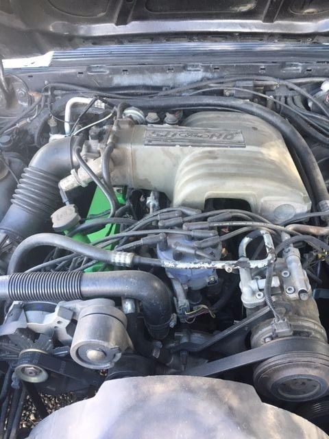 1988 White Ford Mustang Hatchback