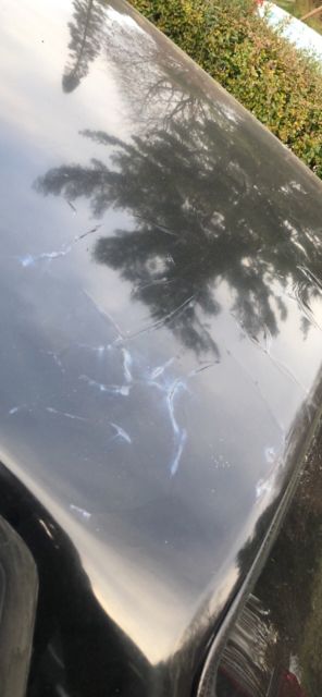 1988 Black Ford Mustang Coupe