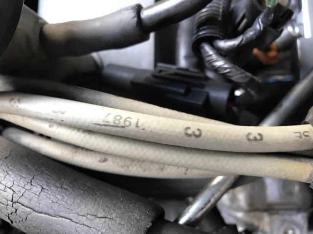 1988 Sand Beige Ford Mustang Hatchback