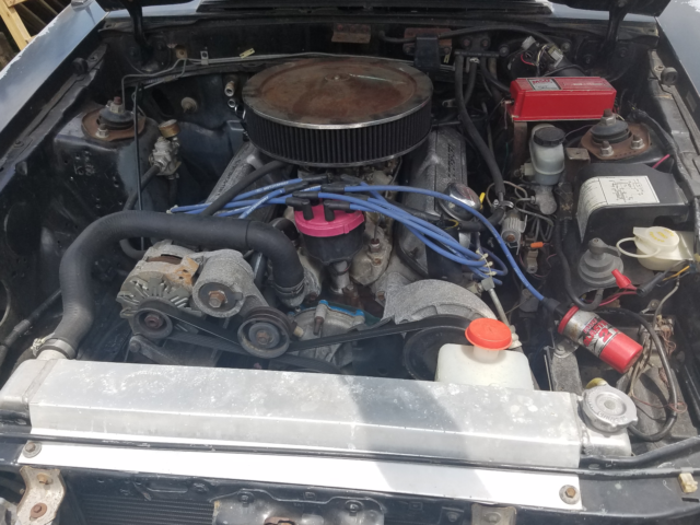 1988 Black Ford Mustang Hatchback