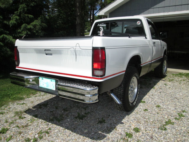 1989 Frost White Chevrolet S-10 Standard Cab Pickup