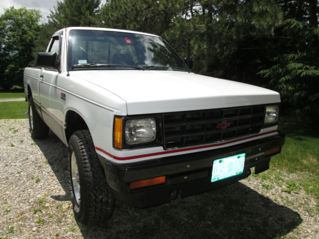 1989 Frost White Chevrolet S-10 Standard Cab Pickup