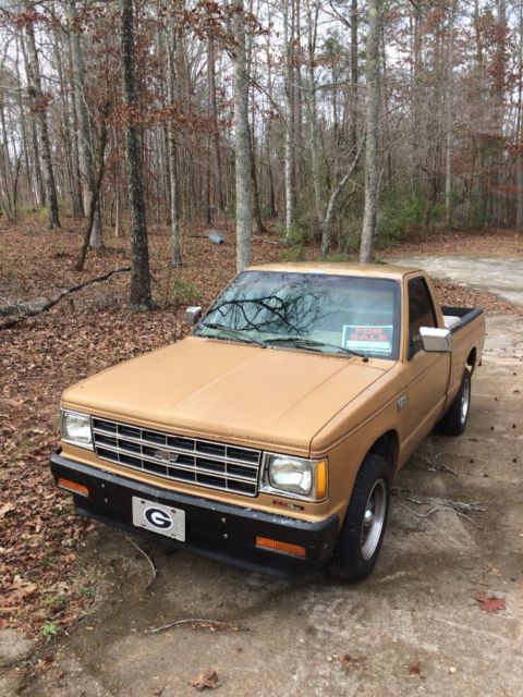 1989 Gold Chevrolet S-10 Standard Cab Pickup