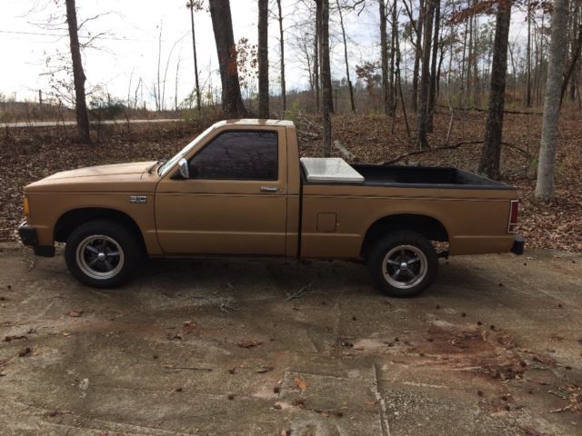 1989 Gold Chevrolet S-10 Standard Cab Pickup