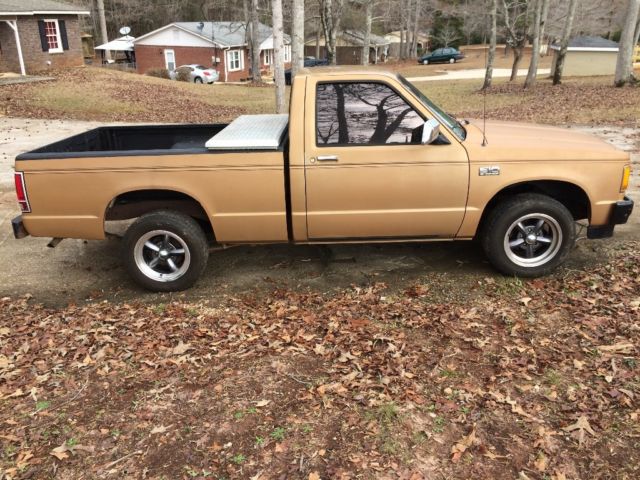 1989 Gold Chevrolet S-10 Standard Cab Pickup
