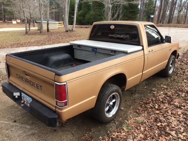 1989 Gold Chevrolet S-10 Standard Cab Pickup
