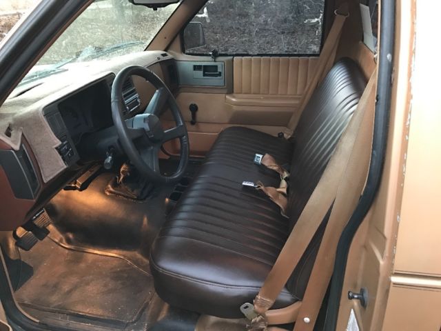 1989 Gold Chevrolet S-10 Standard Cab Pickup