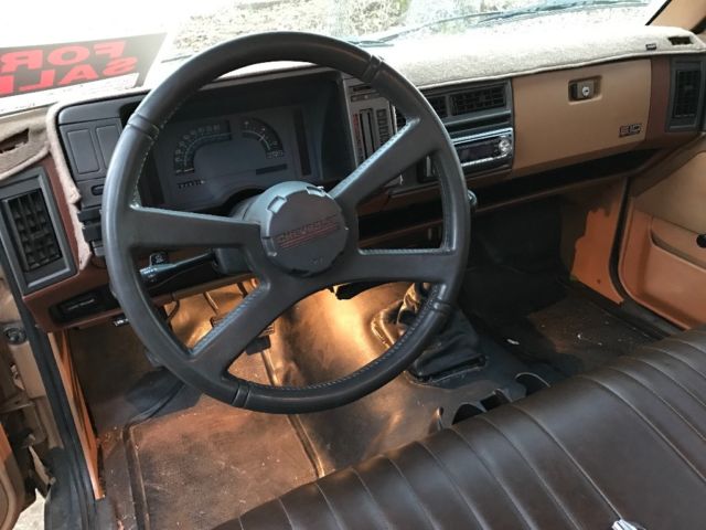 1989 Gold Chevrolet S-10 Standard Cab Pickup