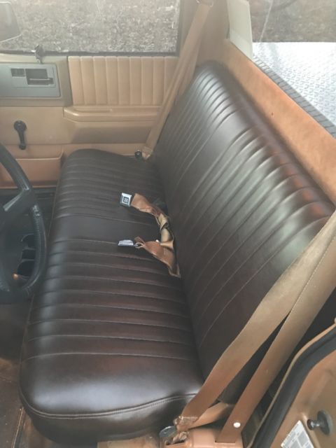 1989 Gold Chevrolet S-10 Standard Cab Pickup