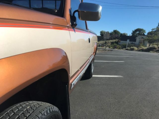 1989 Brown Chevrolet C/K Pickup 2500 Standard Cab Pickup