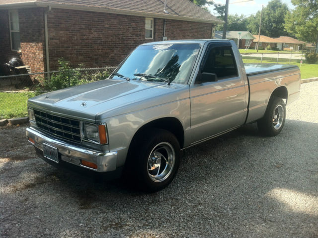 1989 Silver Chevrolet S-10 Standard Cab Pickup