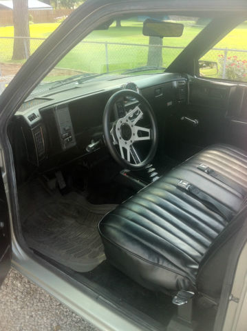 1989 Silver Chevrolet S-10 Standard Cab Pickup