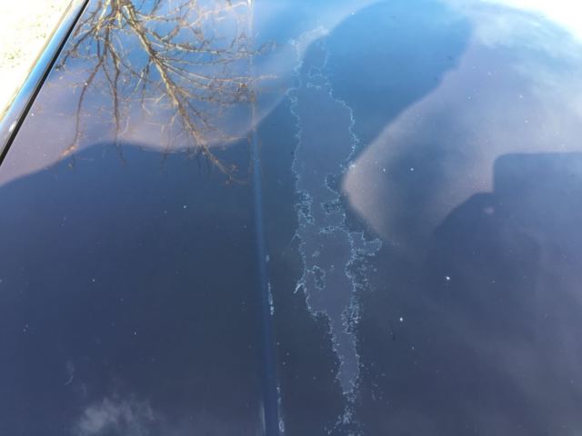 1989 Burgundy Chrysler Other Coupe