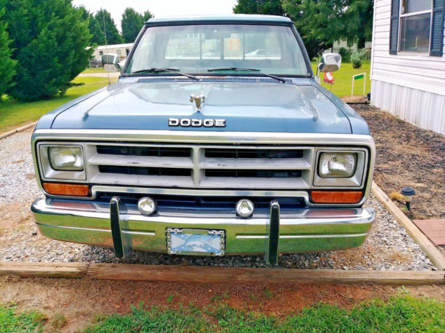 1989 Blue Dodge Other Pickups REGULAR CAB 2 DOOR