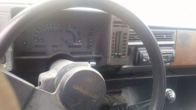 1989 Blue Chevrolet S-10 Extended Cab Pickup