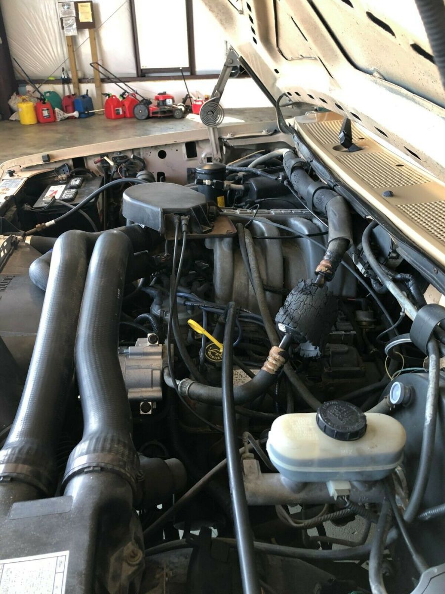 1989 LT Tan & Brown Ford F-150 Standard Cab Pickup