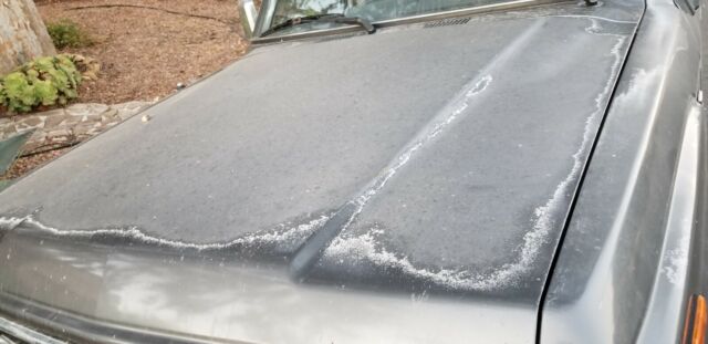 1989 Gray Toyota Land Cruiser