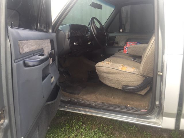 1989 Gray Ford F-150