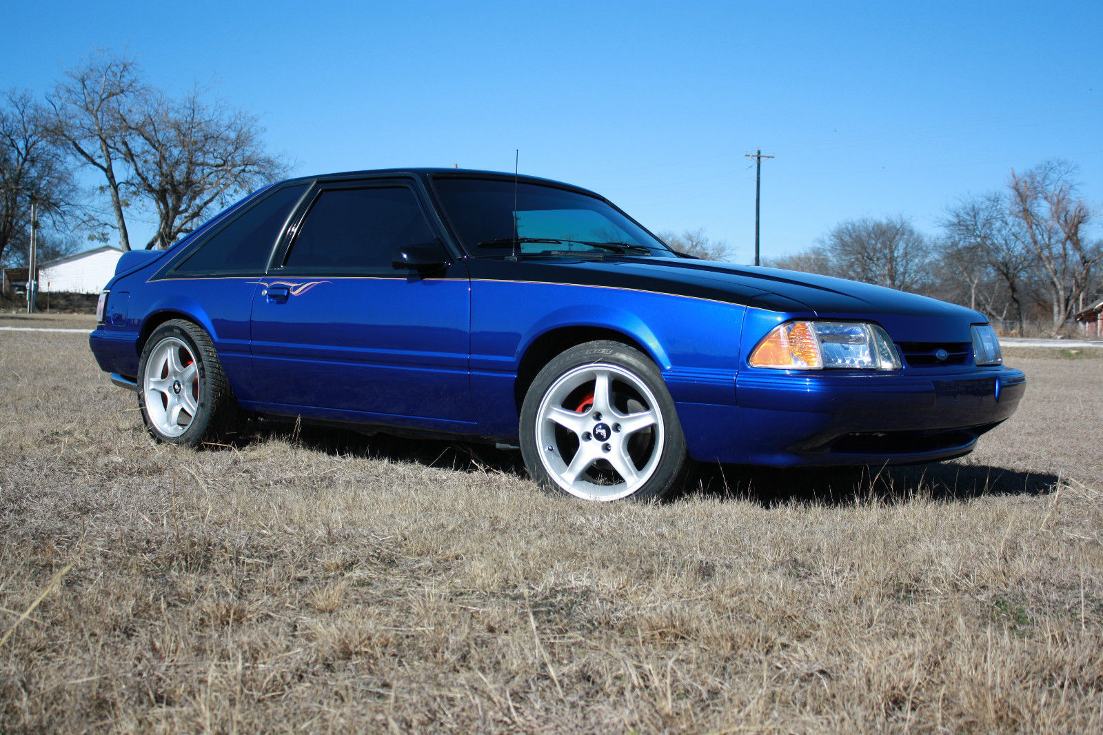 1989 Black/Blue Ford Mustang Hatchback