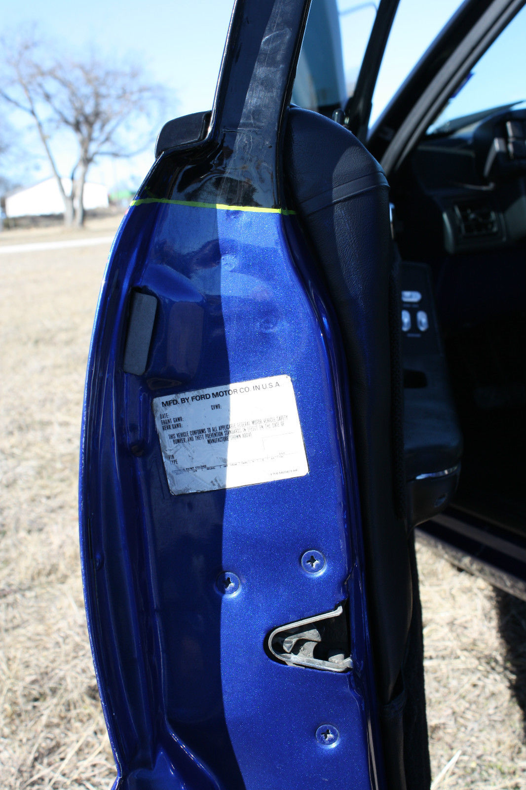 1989 Black/Blue Ford Mustang Hatchback