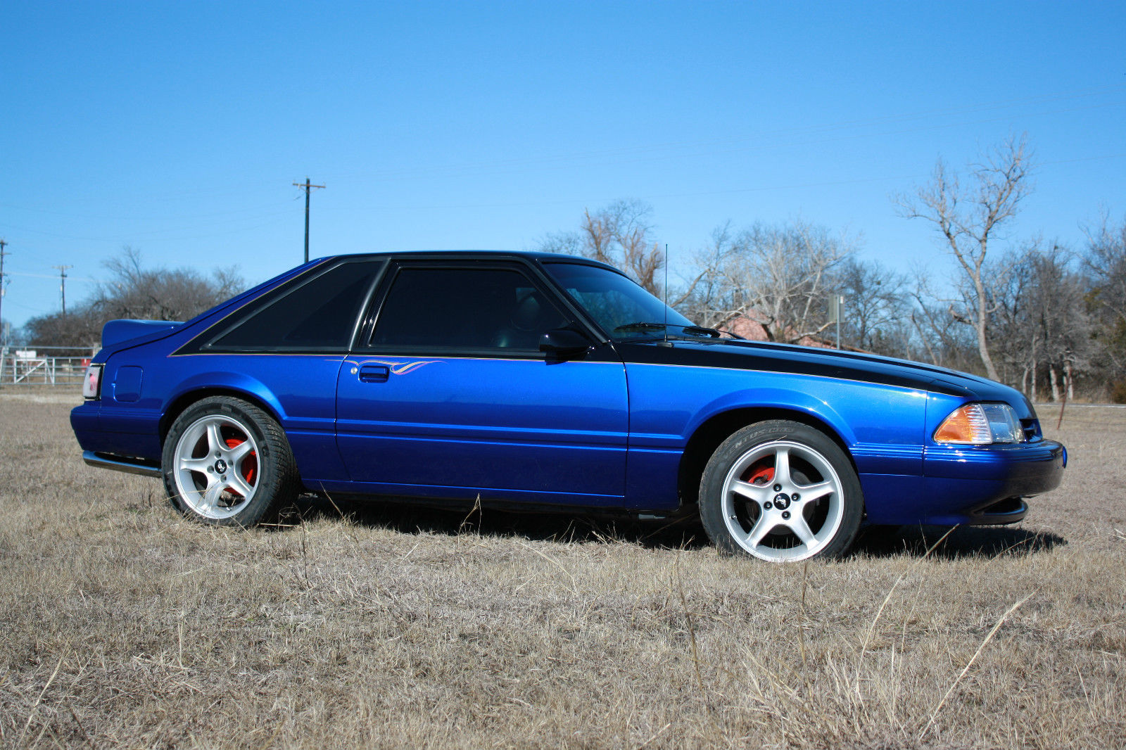 1989 Black/Blue Ford Mustang Hatchback