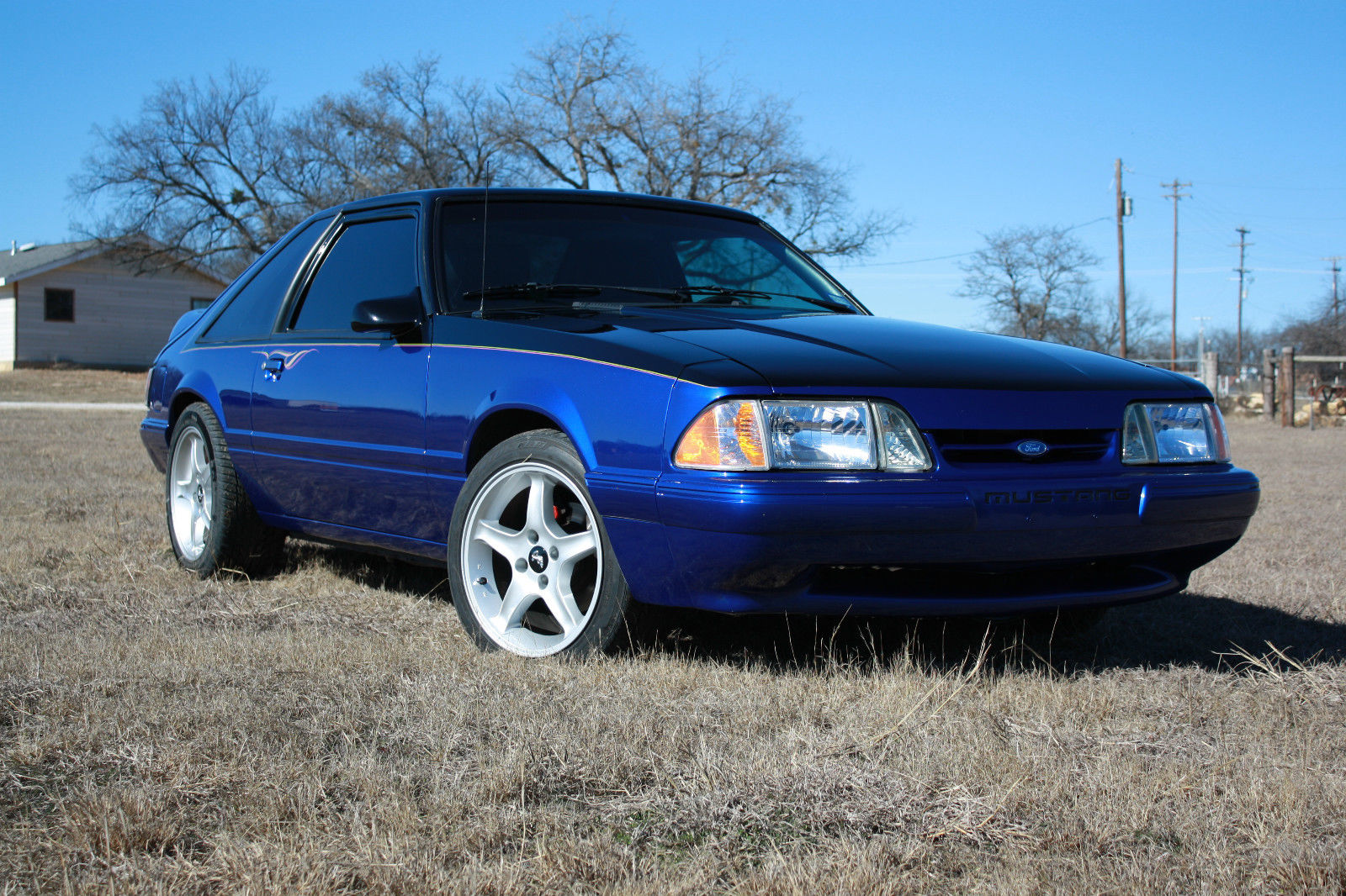 1989 Black/Blue Ford Mustang Hatchback