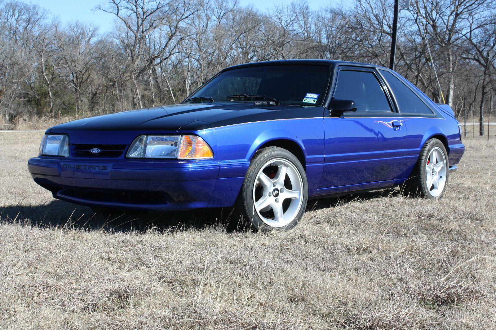 1989 Black/Blue Ford Mustang Hatchback