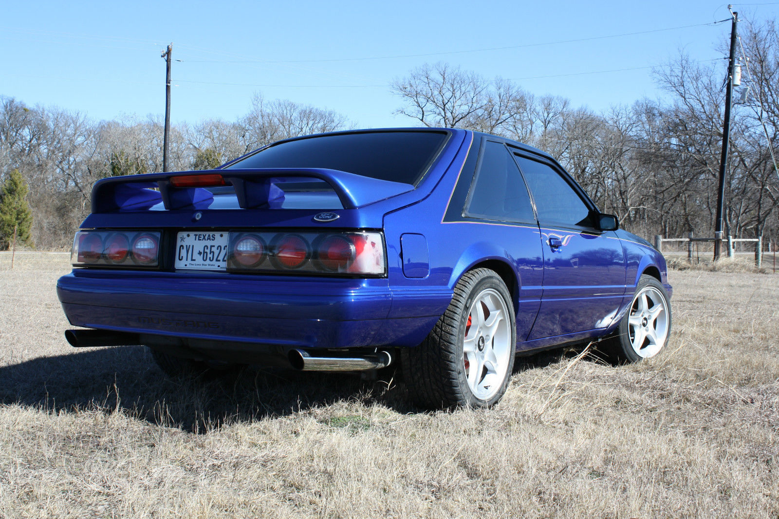 1989 Black/Blue Ford Mustang Hatchback